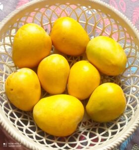 Anwar Ratol Mango