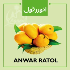 Anwar Ratol Mango