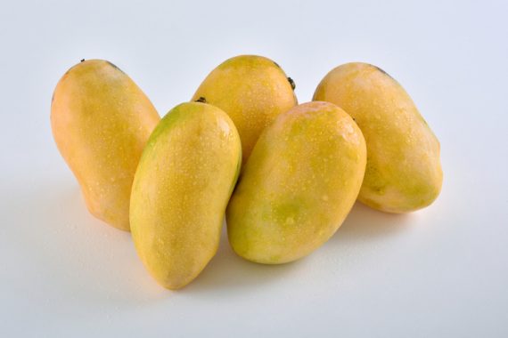 Chaunsa Mango