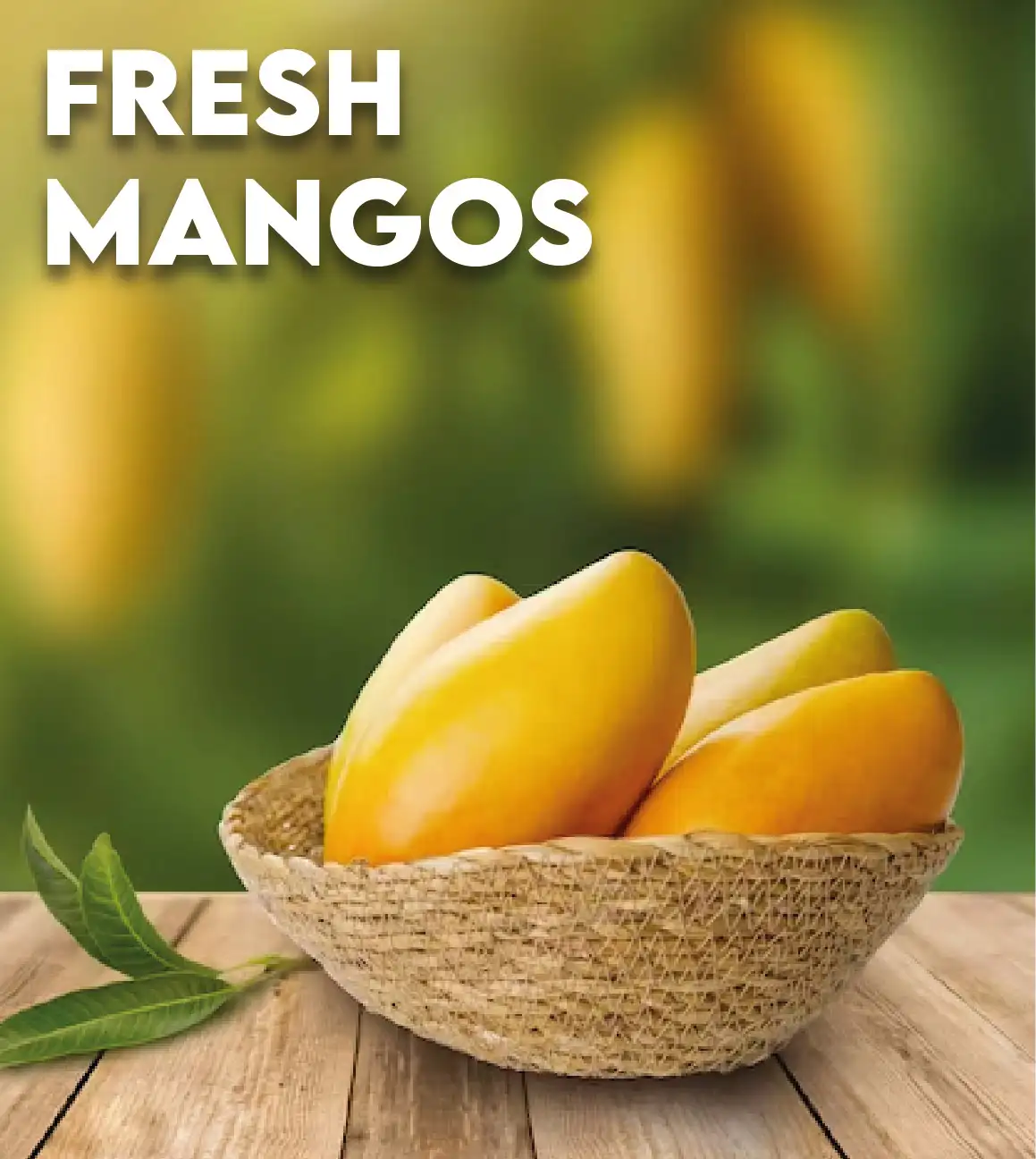 Fresh Mangos