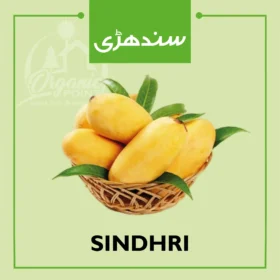 Sindhri Aam