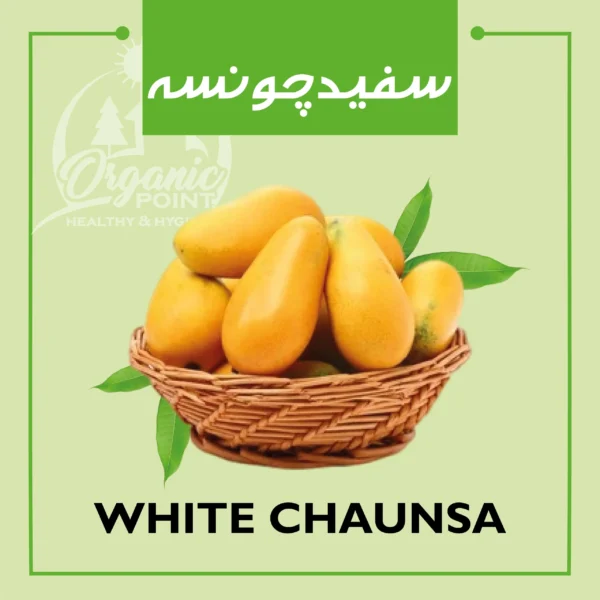 White Chaunsa Mango