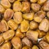 Sukri Dates of Saudia