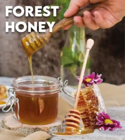 Forest Honey Website