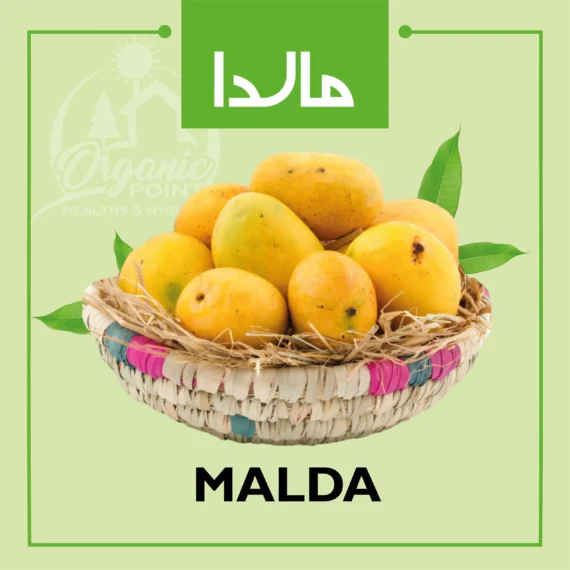 malda-mangoes-organic-point